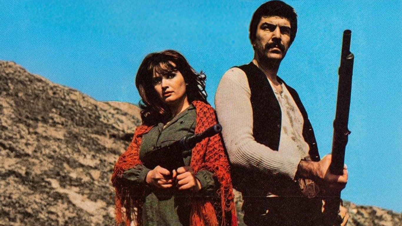 Alevli Yıllar