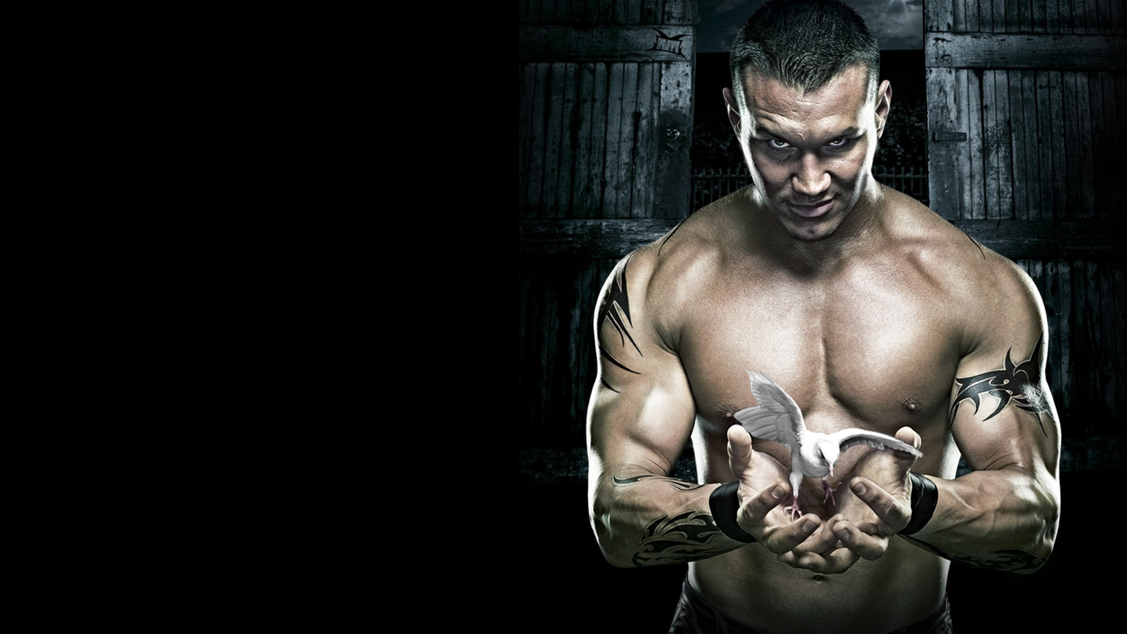 WWE No Mercy 2007