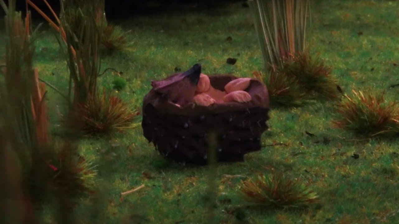 Episode 5