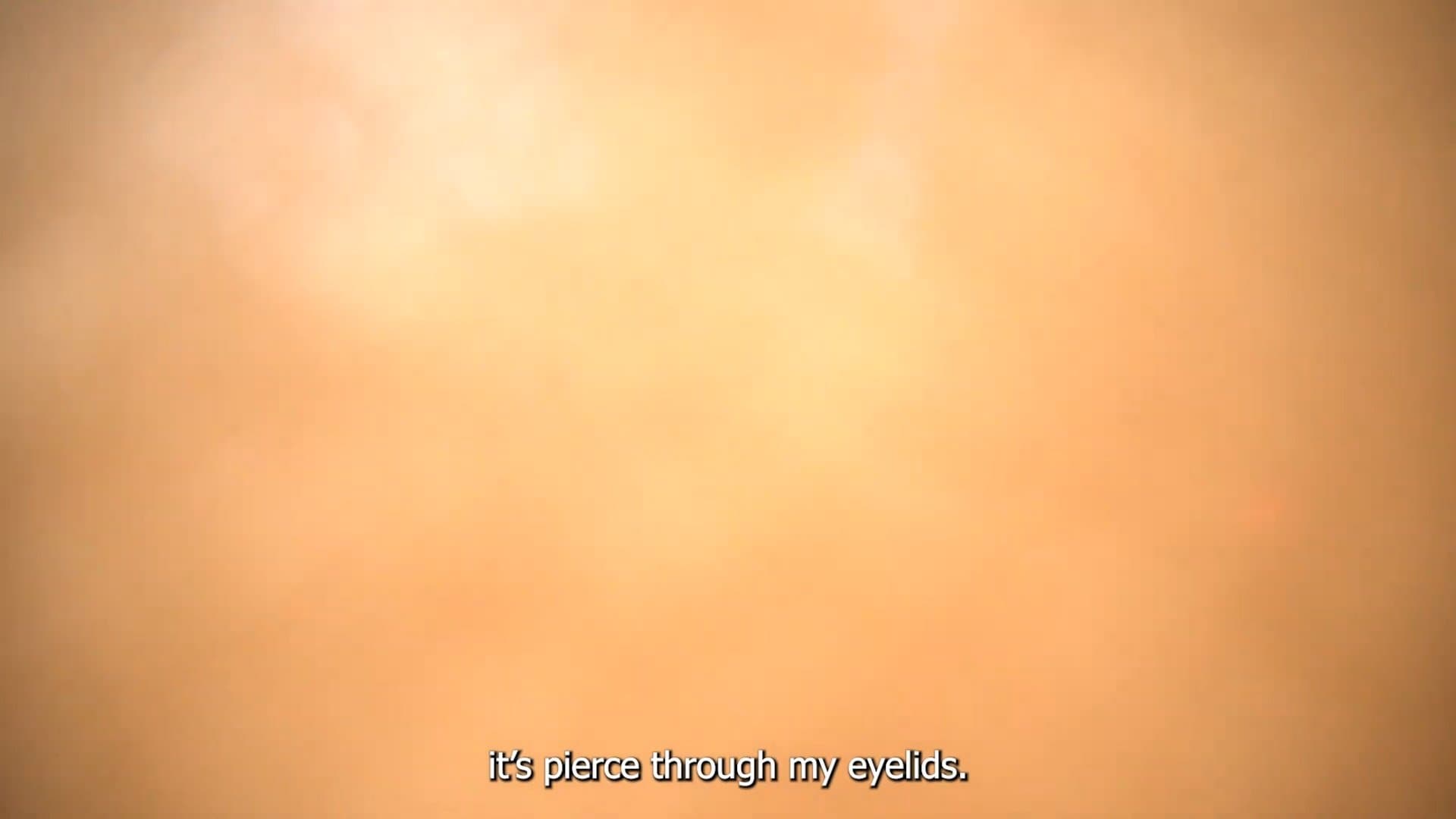 My Diary Does Not Exist