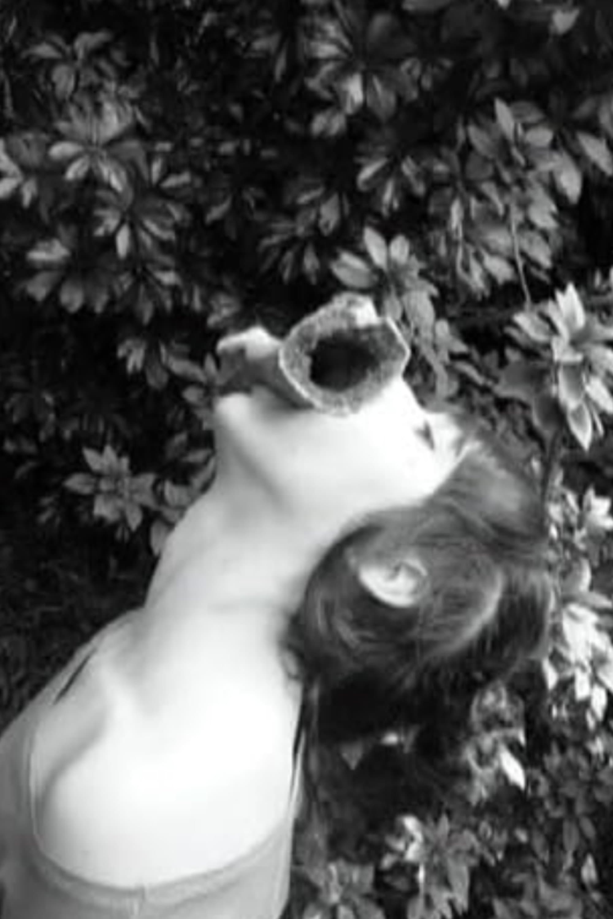 Rachel S. Busse