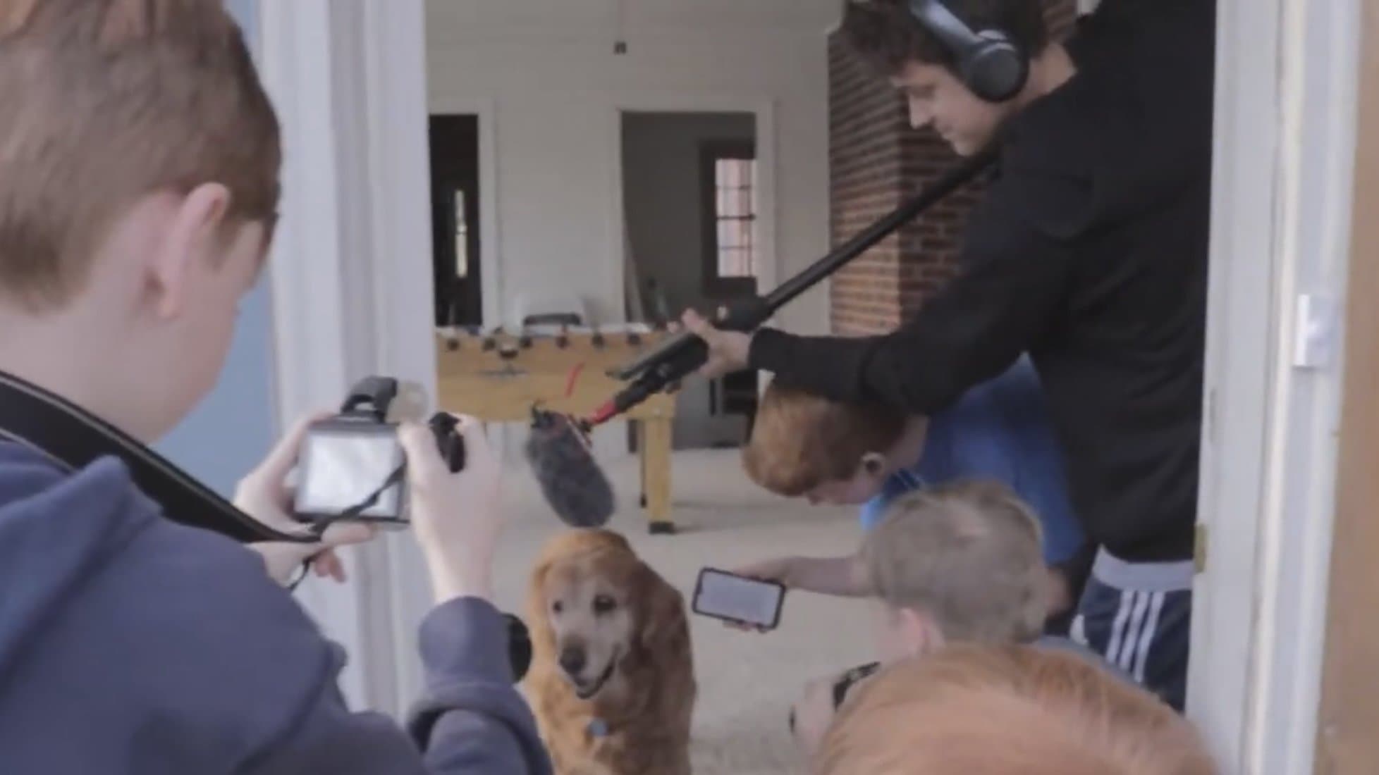 Pestering Paparazzi