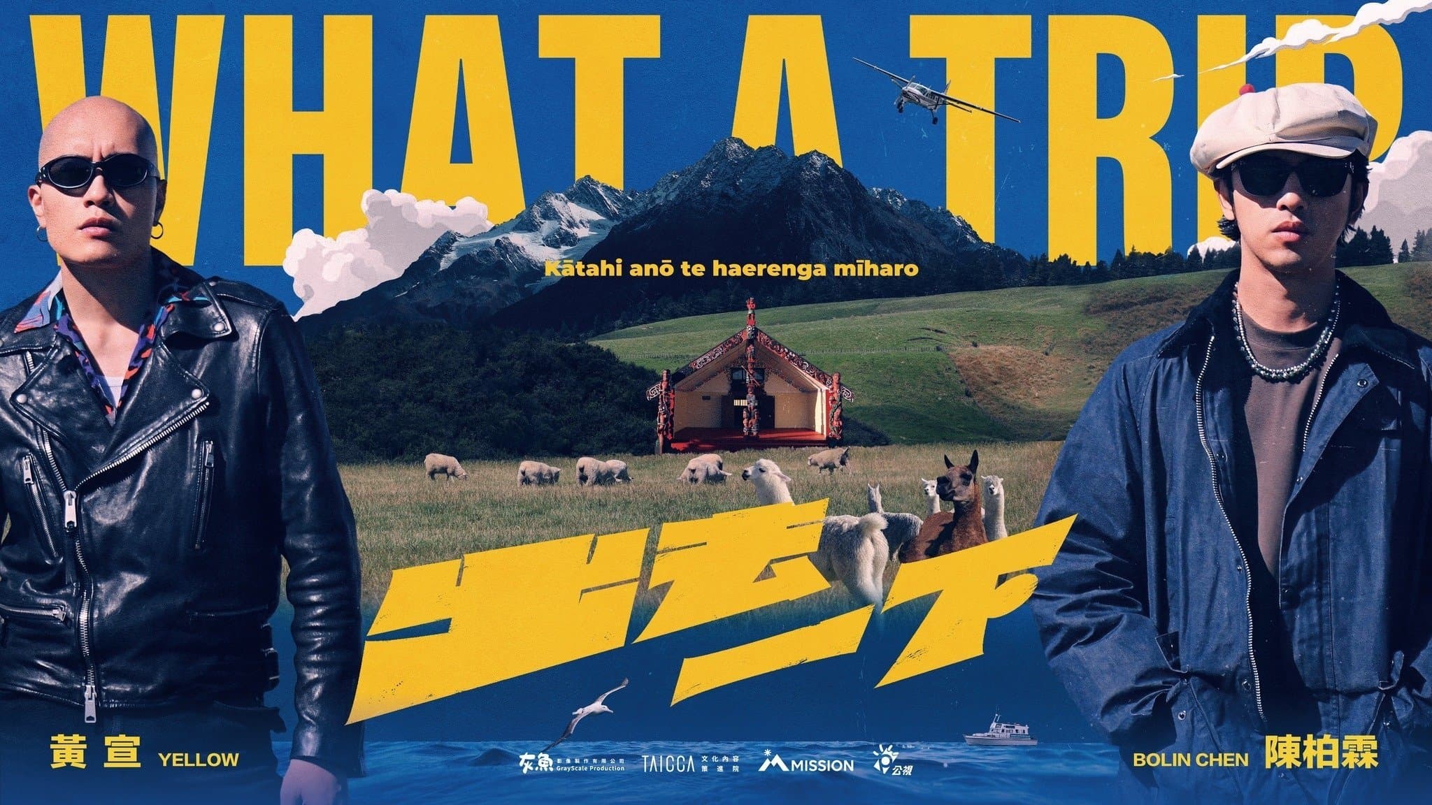 What A Trip
