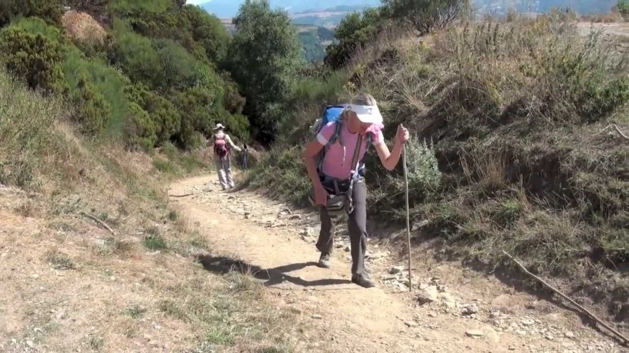 Bertelsen Walks the Camino