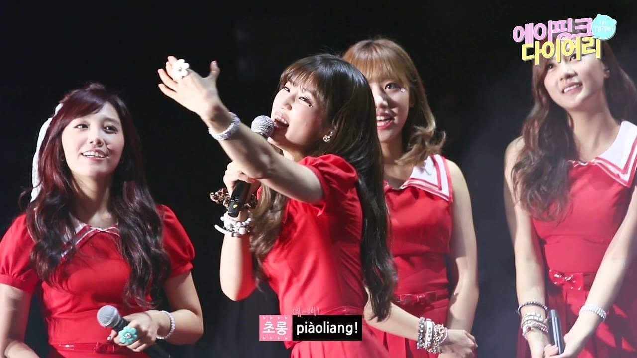 Apink Diary in Taipei2