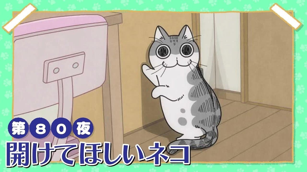Night 80: The Cat Who Wants the Door Opened