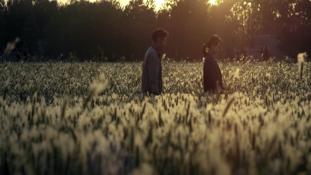 The Wheat