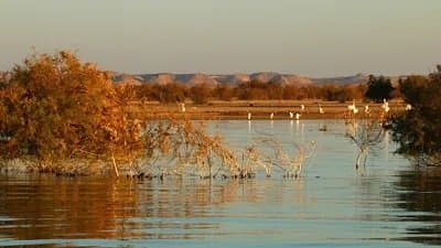 Lake Nasser
