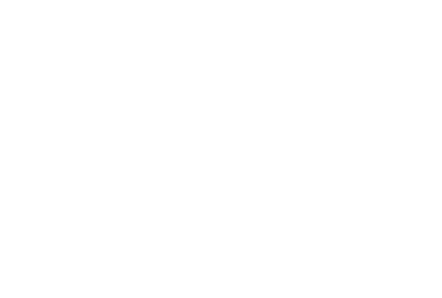 The Teacher