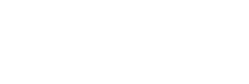 Dunki