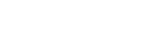 Volkov Origin