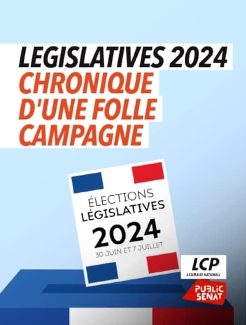 Législatives 2024 : chronique d'une folle campagne