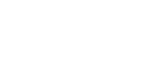 Wild Yellowstone