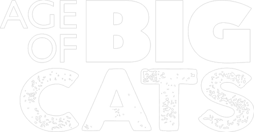 Age of Big Cats