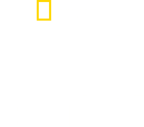 Rebuilding Paradise