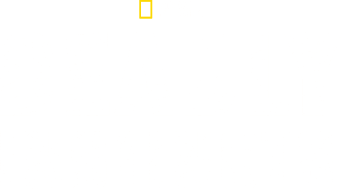 Deadly Instincts