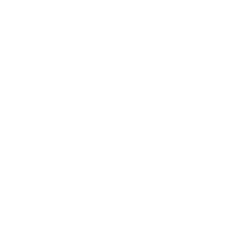 The Wedding Guest