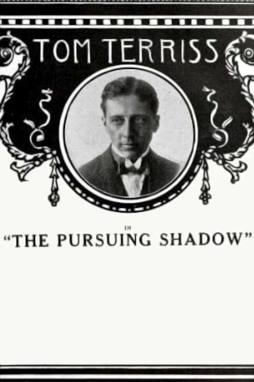 The Pursuing Shadow