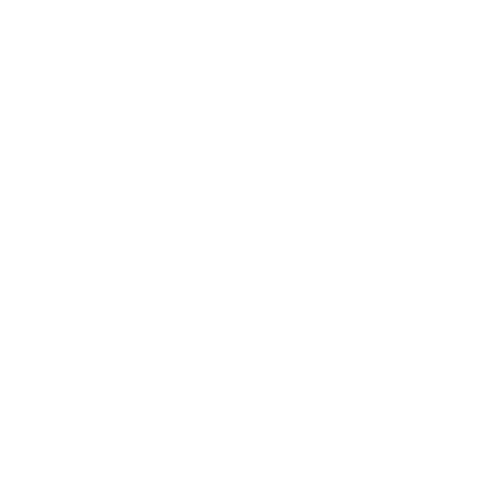 The Monk and the Gun