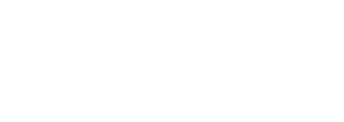 The November Man