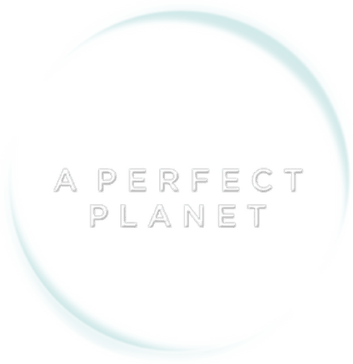 A Perfect Planet