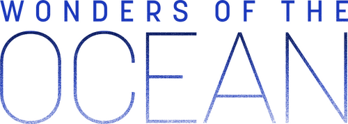Wonders of the Ocean