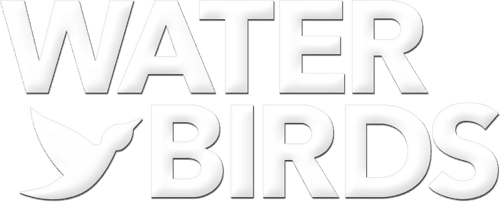 Water Birds