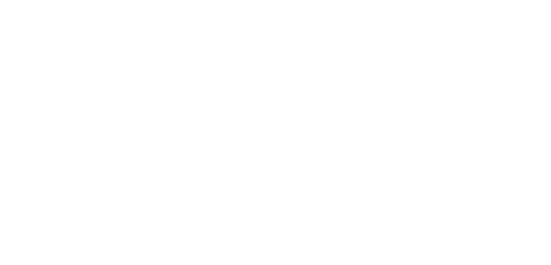 Crazy Crocodile