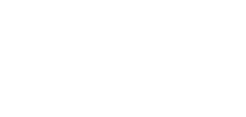 Due South