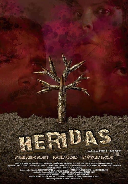 Heridas