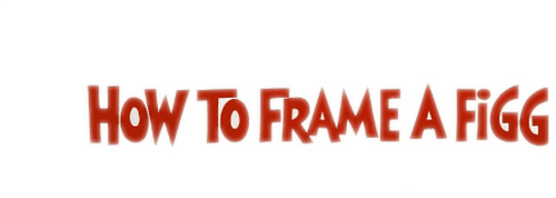 How to Frame a Figg