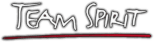 Team Spirit: De serie
