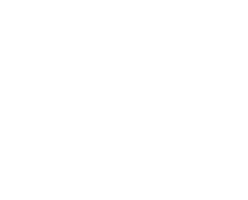 The Real World Homecoming