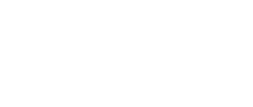 Vinland Saga