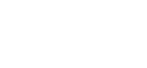 Mr. Nanny