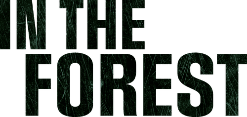 In the Forest