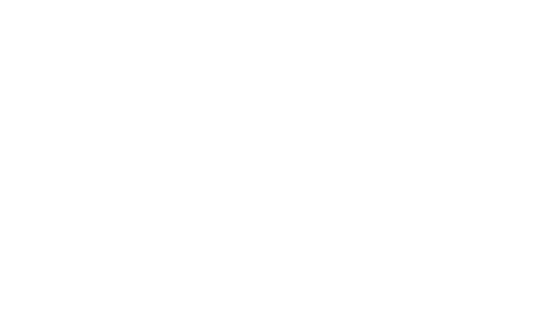 The Other
