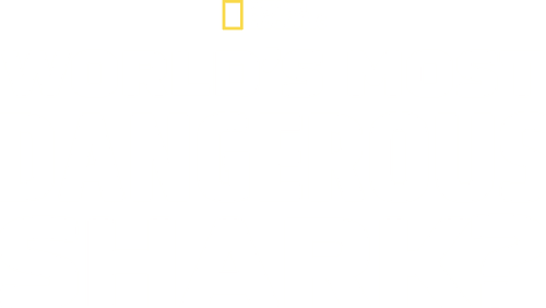 World's Most Dangerous Shark?