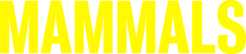 Mammals