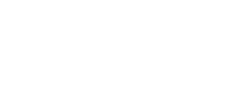 The Sentries