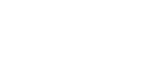 Incomplete Life