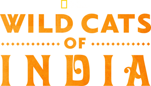 Wild Cats of India