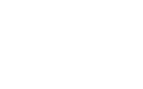 Rehab Addict Rescue