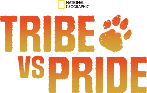 Tribe vs Pride