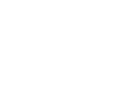 Diners, Drive-Ins and Dives