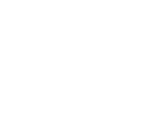 Viva Riva!