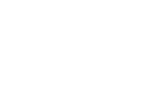 Morris from America