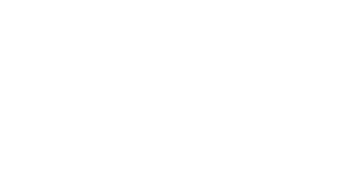 The Penguin