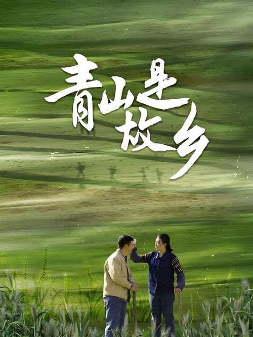 青山是故乡