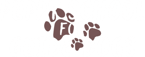 Puppy School for Guide Dogs